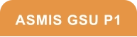 ASMIS GSU P1